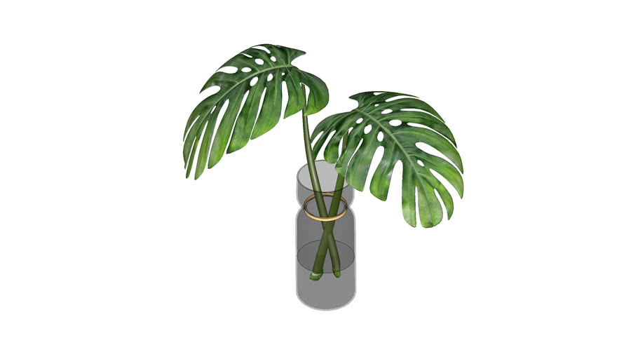 Indoor Plants | 3D Warehouse