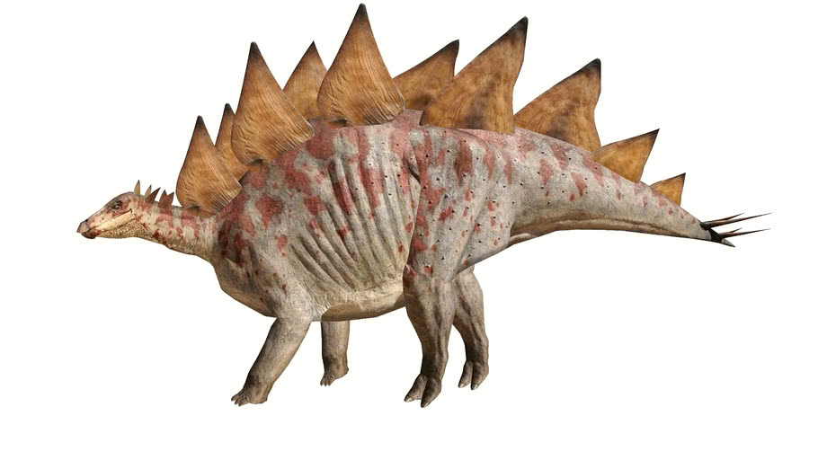 Stegosaurus ungulatus | 3D Warehouse