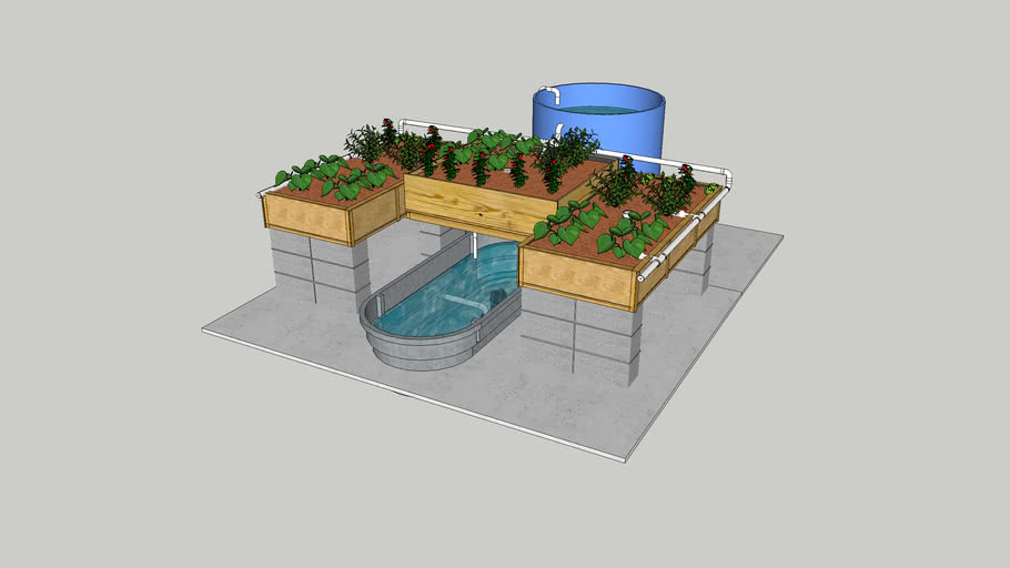 My Aquaponics Vegetable Garden