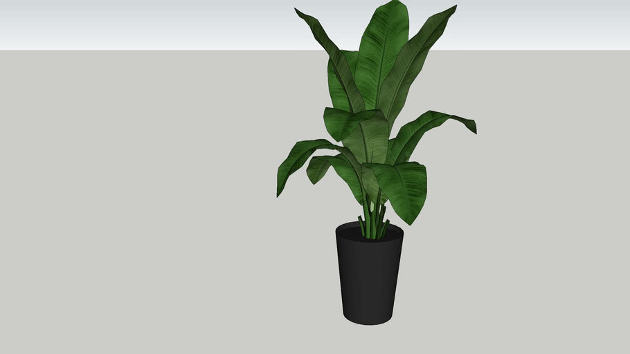 Bananen plant | 3D Warehouse