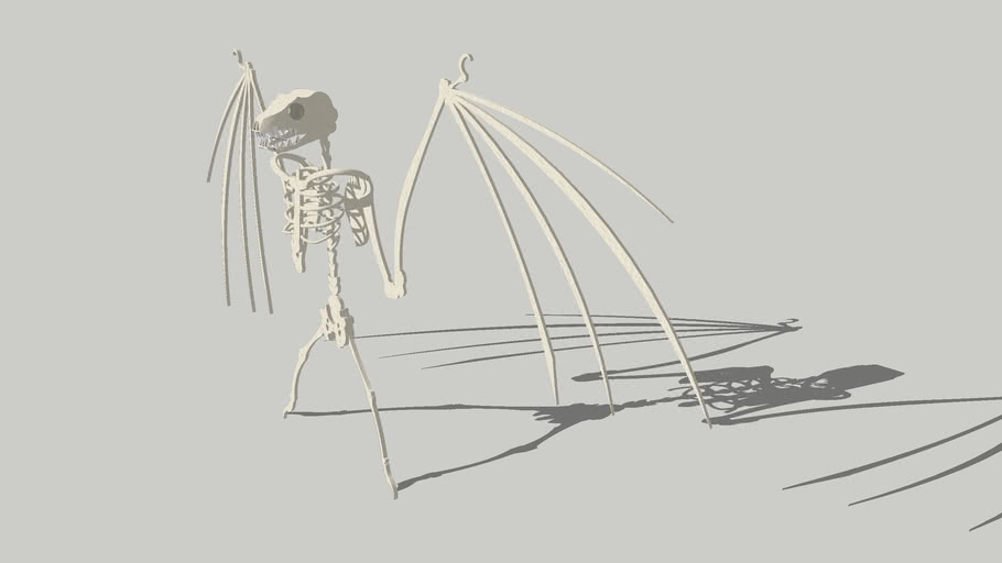 Bat Skeleton