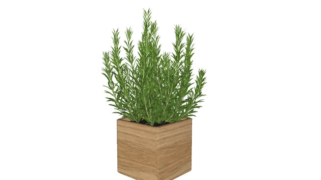 Decor 3D Warehouse   5b97ddec 065d 4794 A664 E55cbae684f2