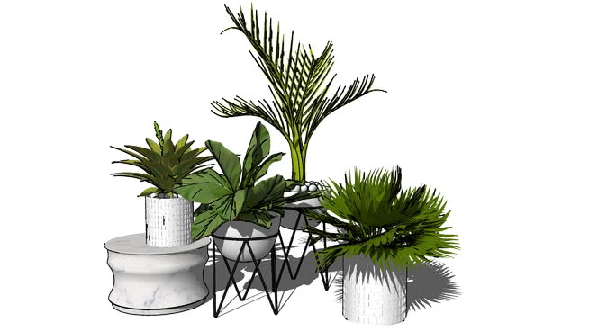 table plant | 3D Warehouse