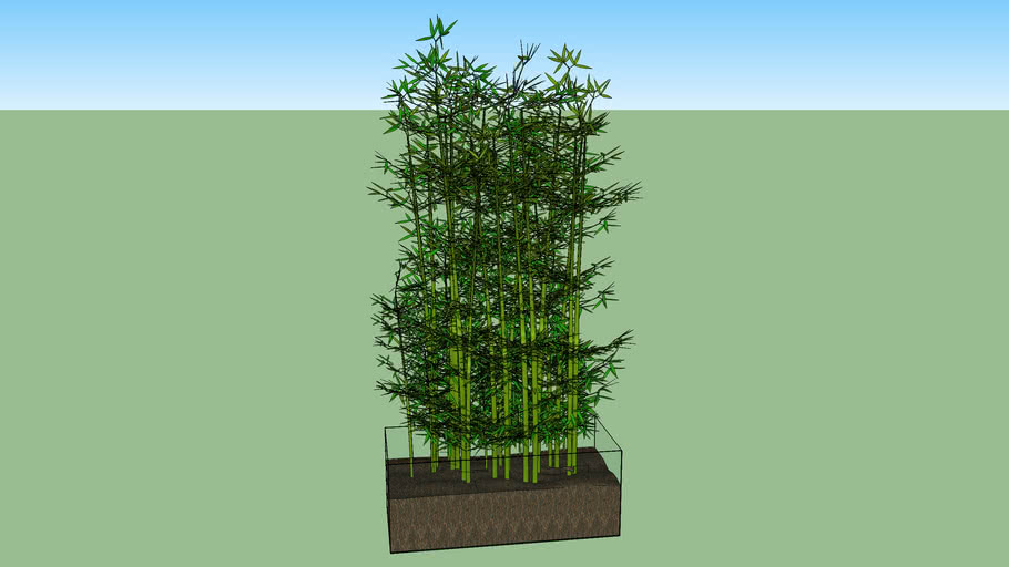 vaso bamboo