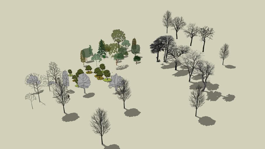 CÂY 2D | 3D Warehouse