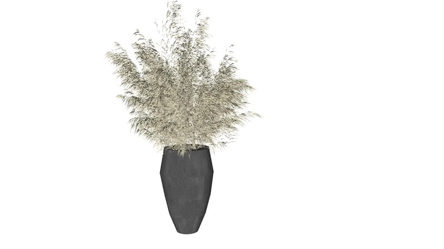 VASE ORNAMENTAL GRASS 3D Warehouse