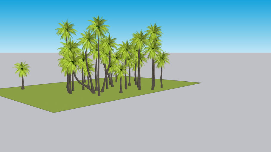 Coconut Trees 3D Warehouse