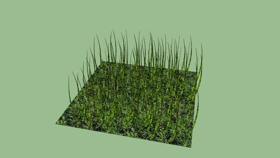 Grass square | 3D Warehouse