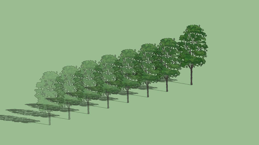 Trees with Translucent Gradient 3D Warehouse