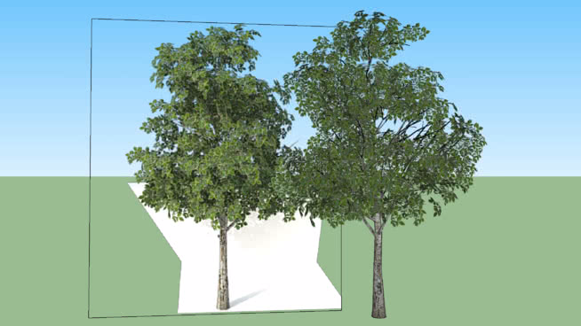Arboles 3d Warehouse
