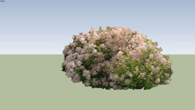 Arbusto 2d 3d Warehouse