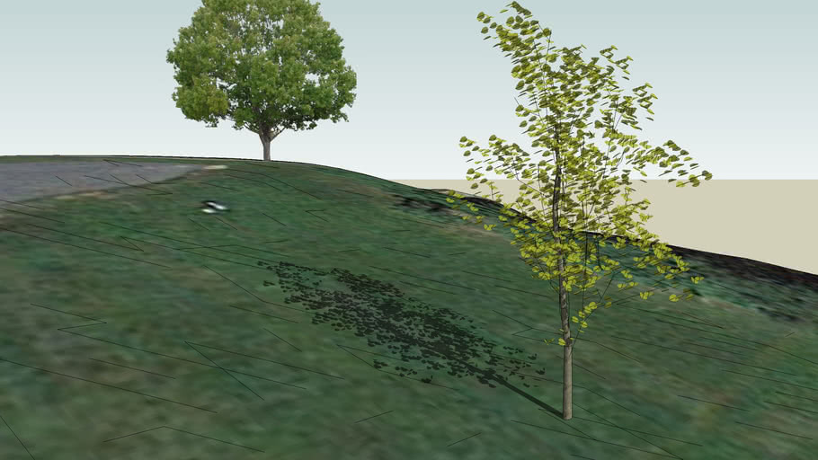Two Ways to Render Trees | 3D Warehouse