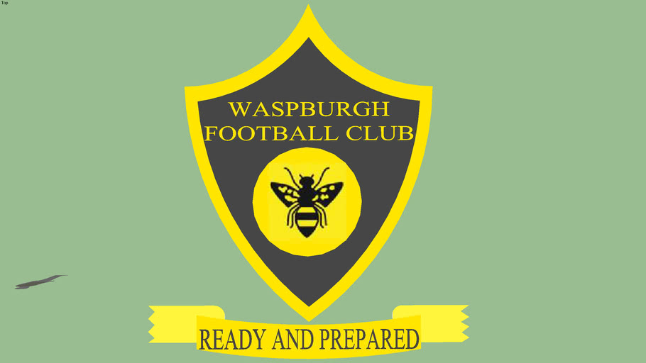 My Waspburgh FC badge
