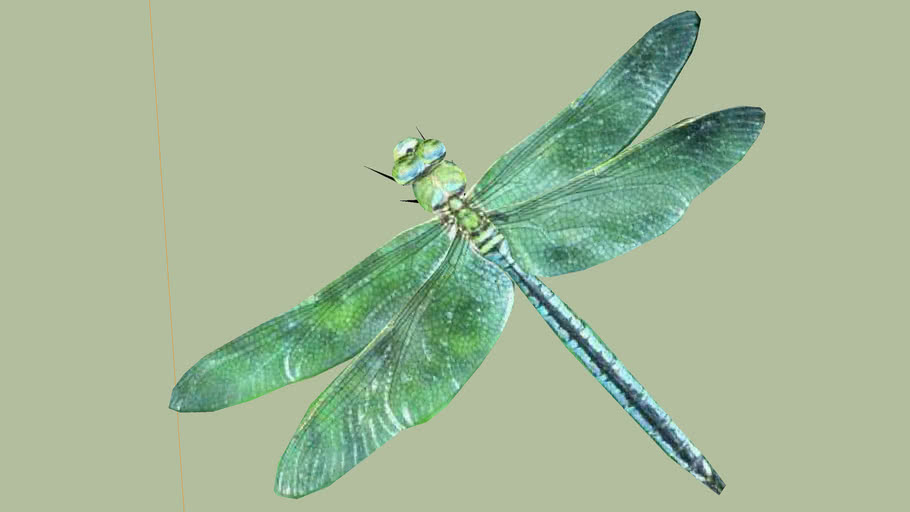 Dragonfly 3D Warehouse