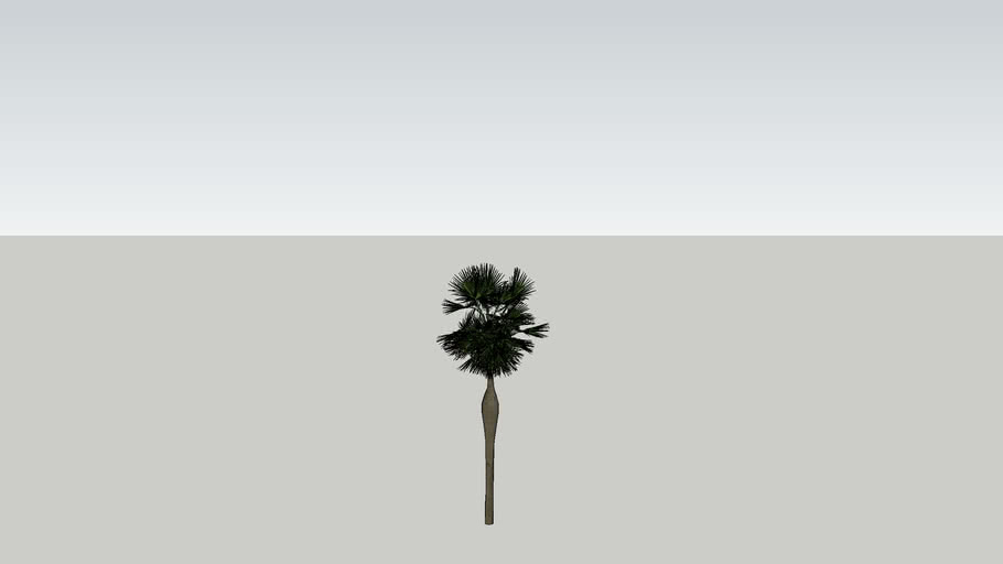 Palm tree-07-anarchitect88