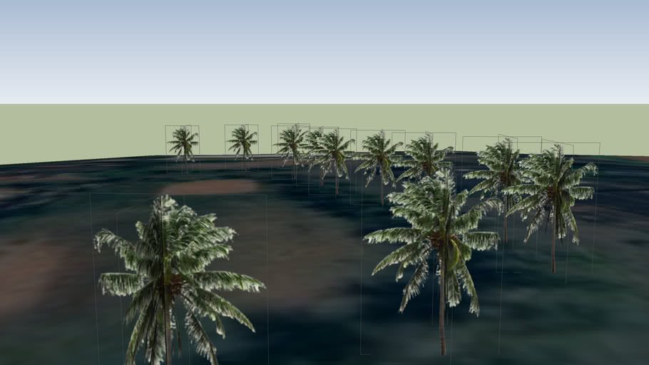 Coconut trees 3D Warehouse