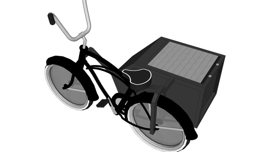 beach cruiser sidecar