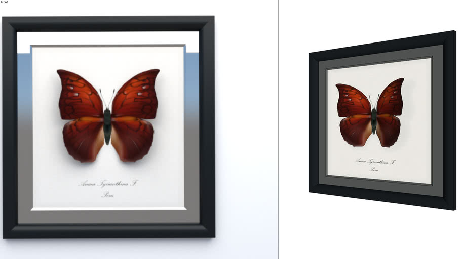 Download Framed Butterfly 3d Warehouse