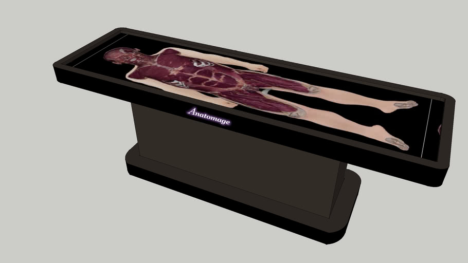 Anatomage Table 3D Warehouse