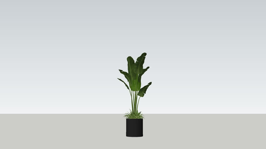 Banana Planter 2 | 3D Warehouse