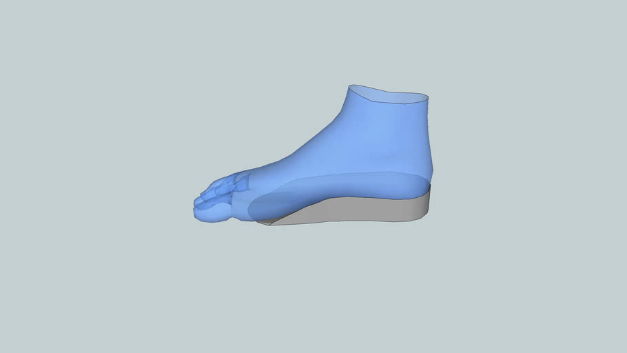 Shaped Orthotic & Foot