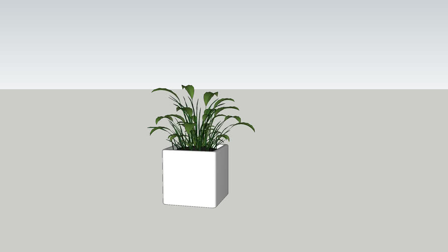 Countertop Plant | 3D Warehouse