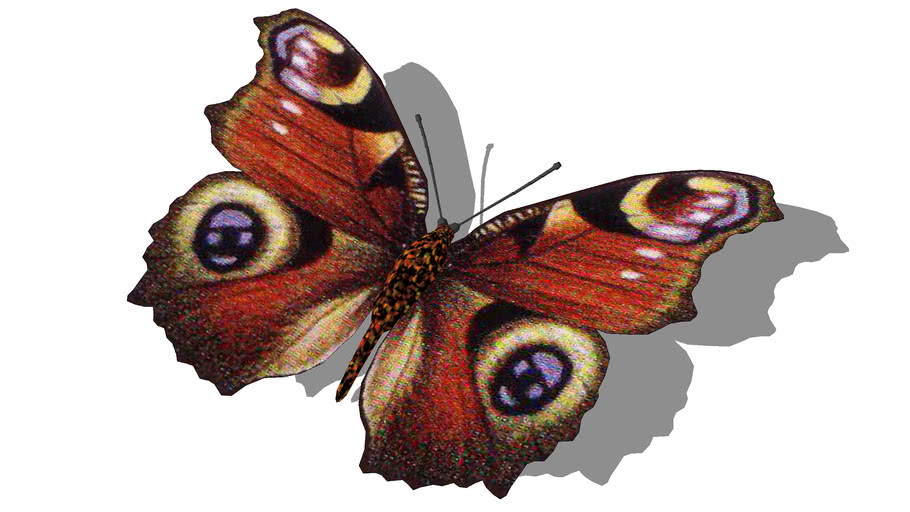 Download Butterfly 3d Warehouse