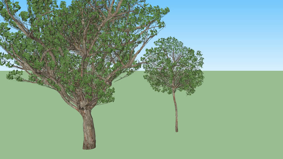 Tree set 2 | 3D Warehouse