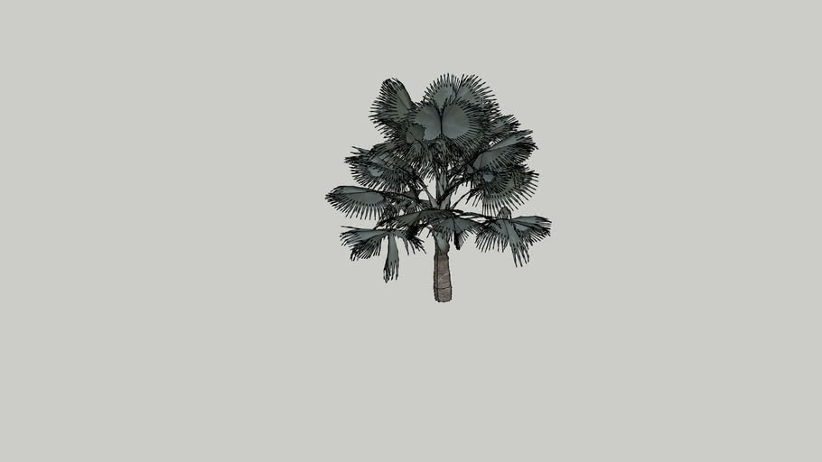Palm tree-11 - anarchitect88
