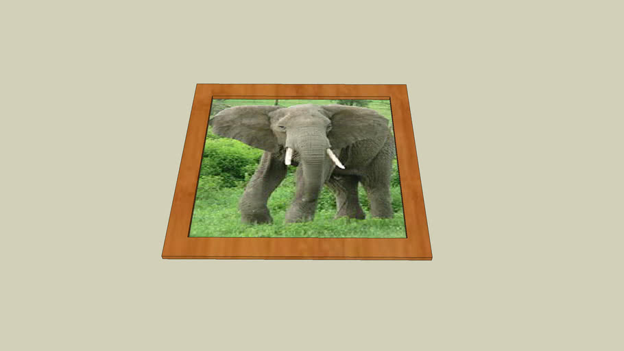 Elephant Picture Frame 3D Warehouse