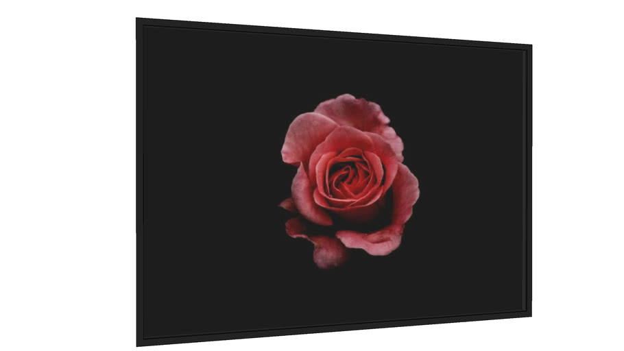Quadro Rosa da Noite - Galeria9, por Melinski Digital Art