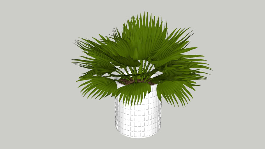 Vegetation 05 | 3D Warehouse