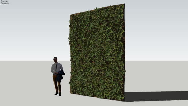 Kort geleden Schouderophalend Vegetatie Tuinplanten - Verticale tuin en klimopschermen | 3D Warehouse