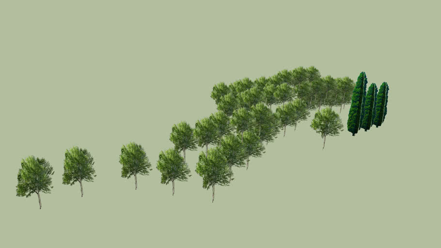 Trees in Shushi Artsakh, NKR