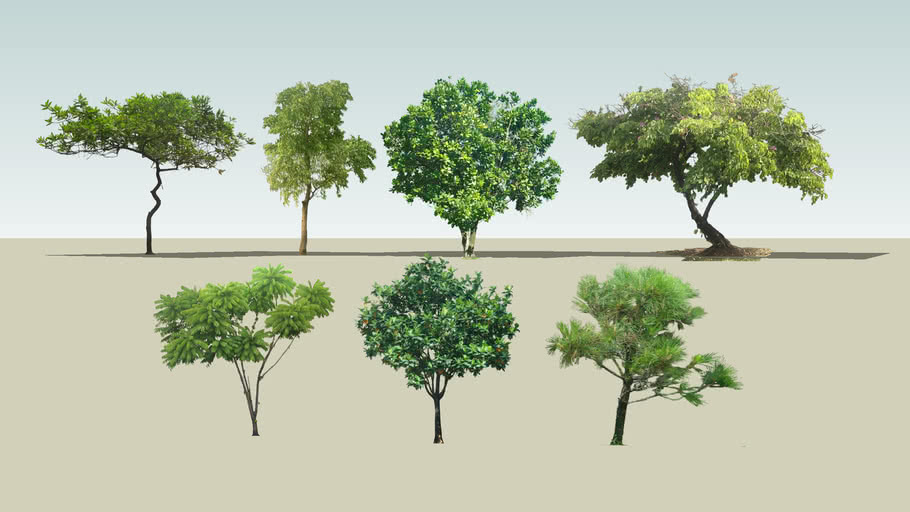 tree with human 3D Warehouse