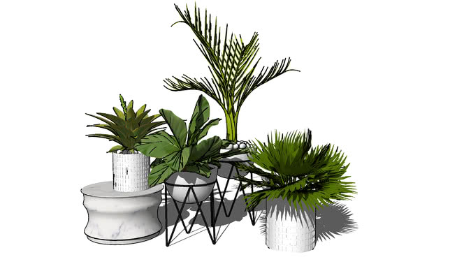 Interior Plants | 3D Warehouse