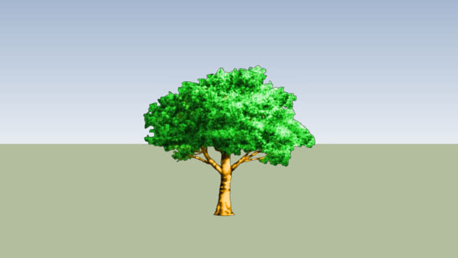 TREE | 3D Warehouse